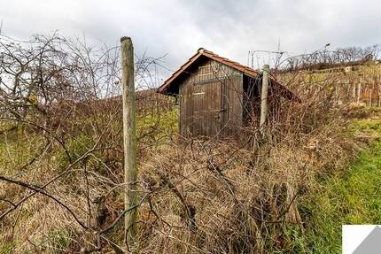 ???? Traumhafter Weinberg & Wiese mit Wingerterhäusle bei Lienzingen ???? Zum Schmuddelwetterpreis! zimmer