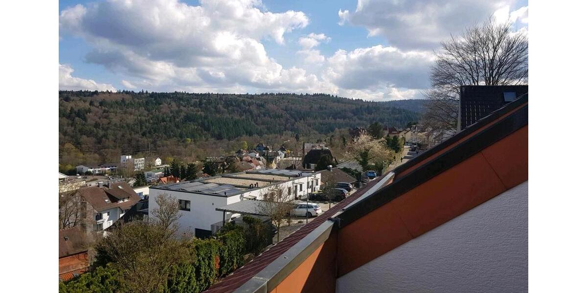 Dachgeschoßwohnung Birkenfeld - 2 Zimmer, 63 m&sup2;, 660&euro; | Angebot:26126187