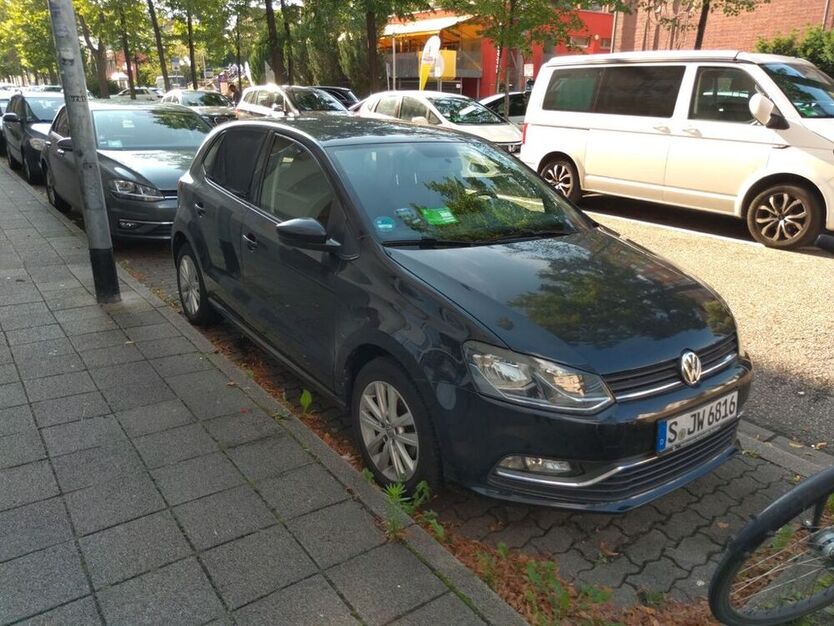 Polo