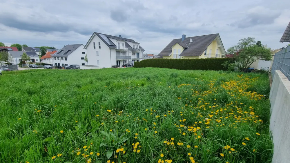 Sonniges Baugrundstück in Birkenfeld - Ruhige Lage im beliebten Wohngebiet 