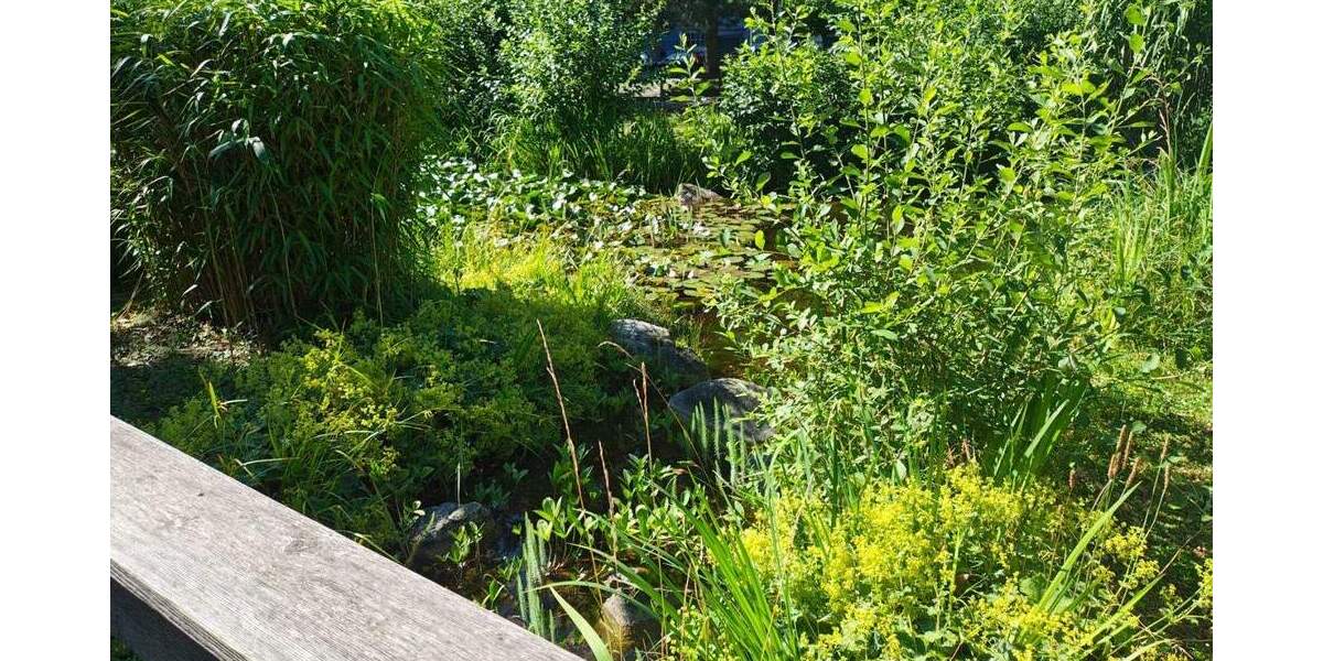 Gewerbeobjekt Bruchsal - 195&euro; | Angebot:25720571