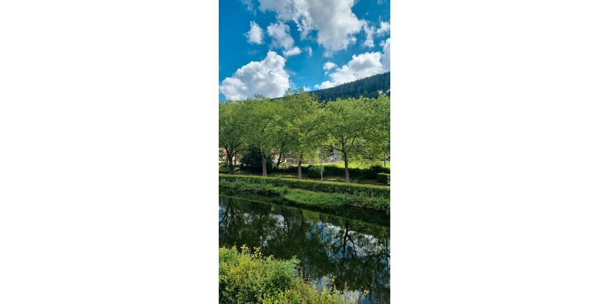 Etagenwohnung Remchingen - 4 Zimmer, 94 m&sup2;, 1.050&euro; | Angebot:25173360