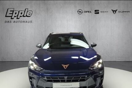 Cupra Terramar 1.990 km 48.490 &euro; Rutesheim 71277