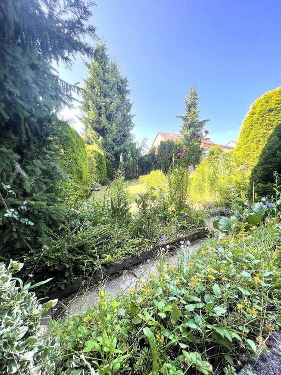 Eine Doppelhaushälfte oder beide - Zwei Haushälften, viele Möglichkeiten 6 zimmer