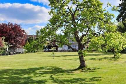 Grundstück zu verkaufen in Calw 350.000 € 1260 m²