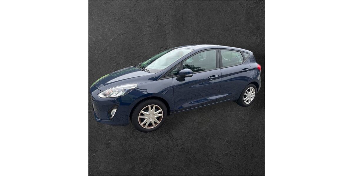 Ford Fiesta 131.500 km 8.790 &euro; Stutensee 76297