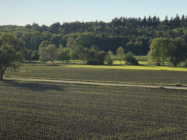 Gewerbeobjekt Leonberg - 450&euro; | Angebot:25423701