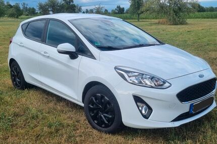 Ford Fiesta 104.000 km 7.700 &euro; Wildberg 72218