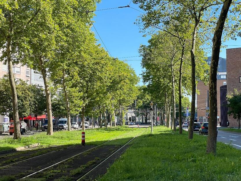 ### Geschmackvolles großzügiges Wohnen am Kronenplatz ###