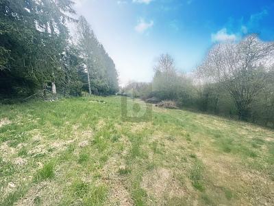 FREIZEITGRUNDSTÜCK AM NATURSCHUTZGEBIET - Grundstück Calw | Angebot:26319883