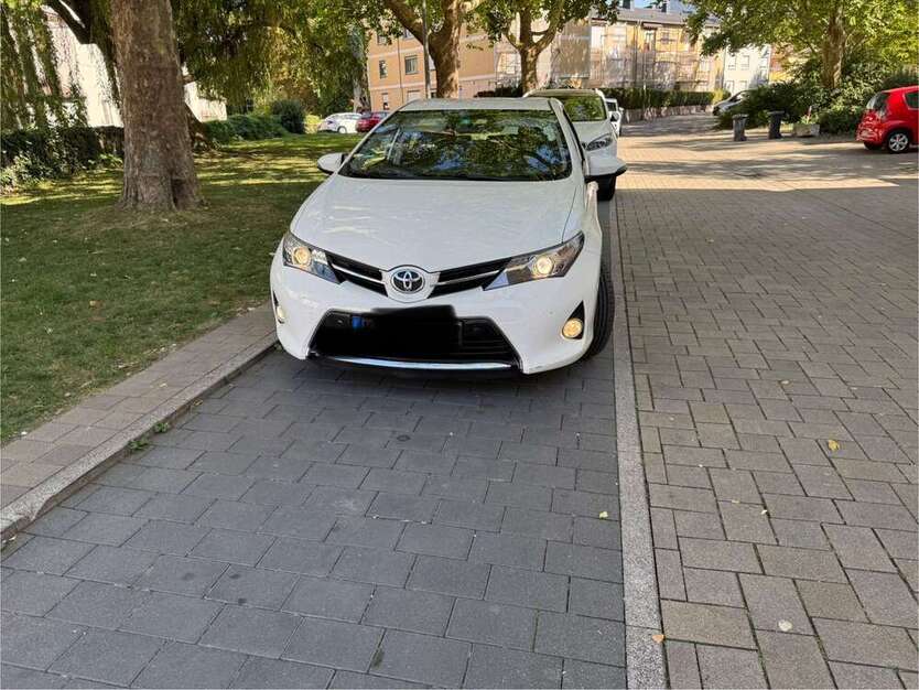 Auris
