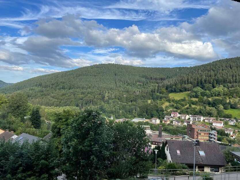Wohnung zum Kaufen in Bad Wildbad 78.000 € 35.76 m²