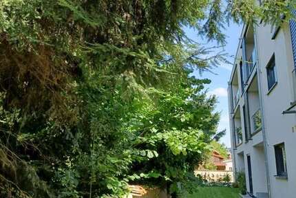 Haus zum Kaufen in Pforzheim 1.100.000 € 335.53 m² 12 zimmer