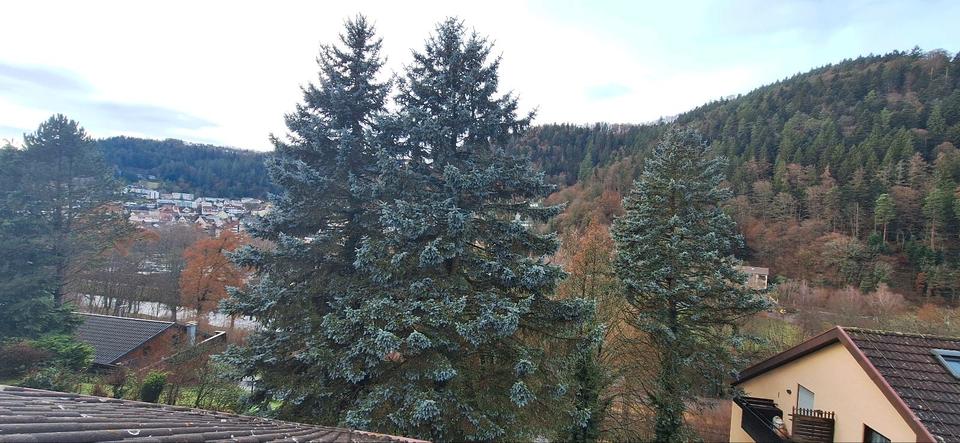 Dachgeschoßwohnung Bad Liebenzell - 2 Zimmer, 59 m&sup2;, 138.000&euro; | Angebot:25339800