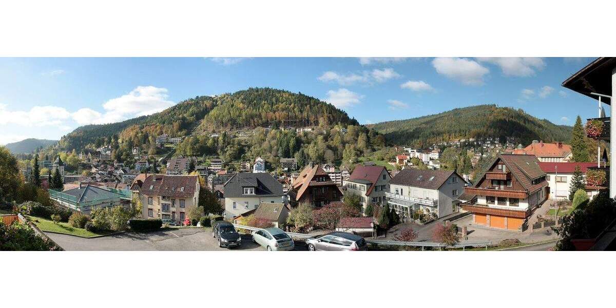 Mehrfamilienhaus, Wohnhaus Bad Wildbad - 1 Zimmer, 1.150.000&euro; | Angebot:25686897