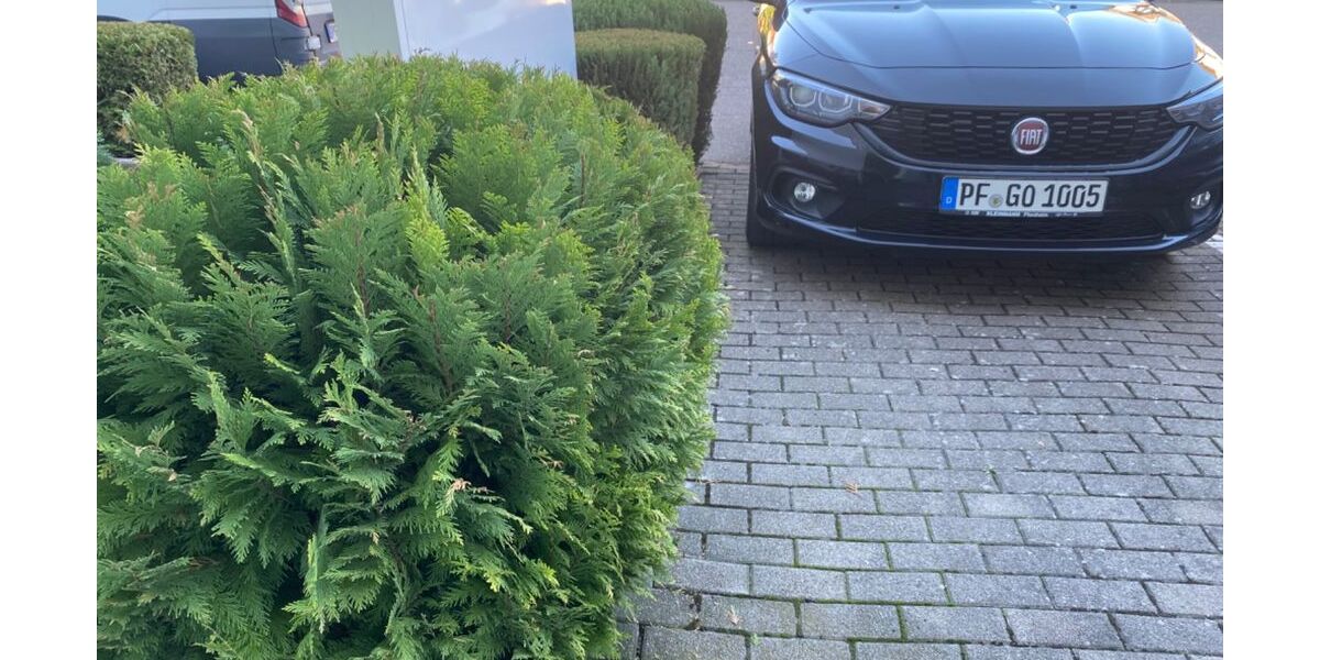 Fiat Tipo 150.000 km 6.950 &euro; Engelsbrand 75331