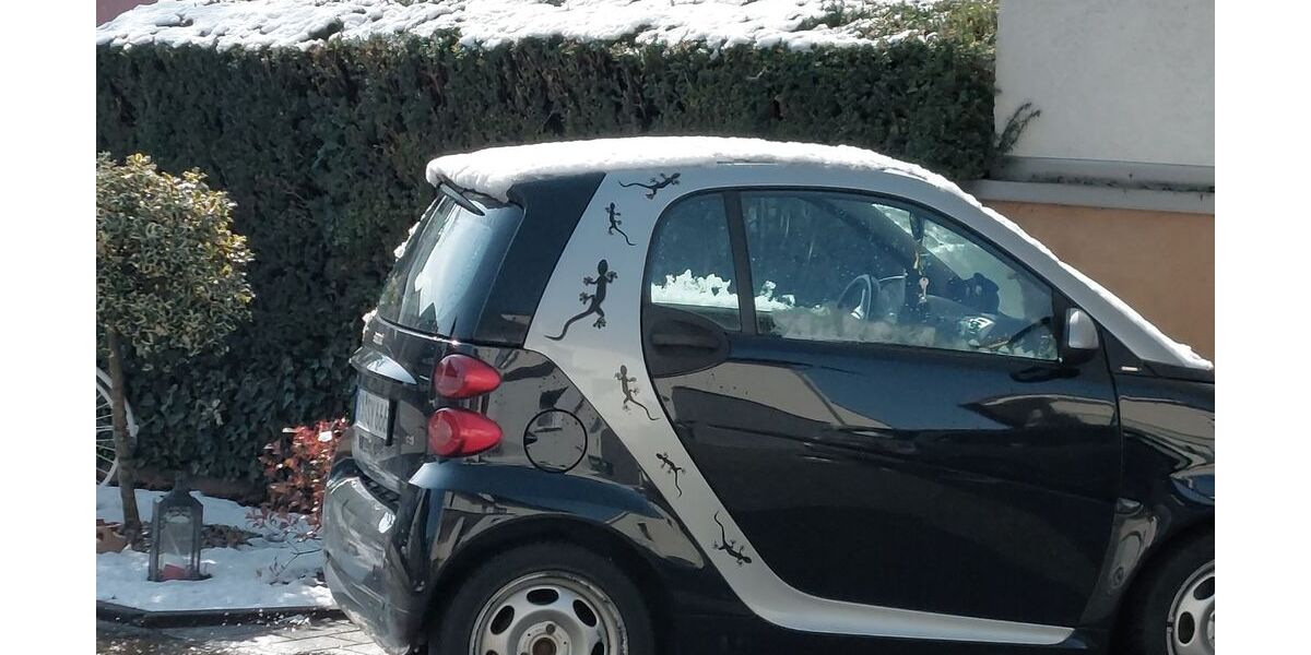 Smart ForTwo 174.908 km 3.100 &euro; Malsch 76316