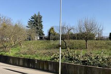 BAUPLATZ FÜR EIN MEHRFAMILIENHAUS - Grundstück Walzbachtal | Angebot:26270185