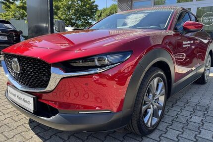 Mazda CX-30 14.209 km 29.240 € Bietigheim-Bissingen 74321