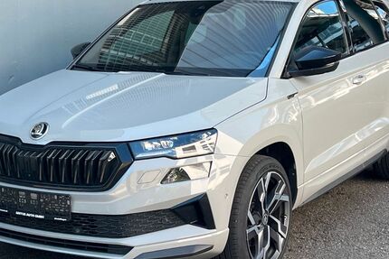 Skoda Karoq 175.000 km 24.780 &euro; Sindelfingen 71065