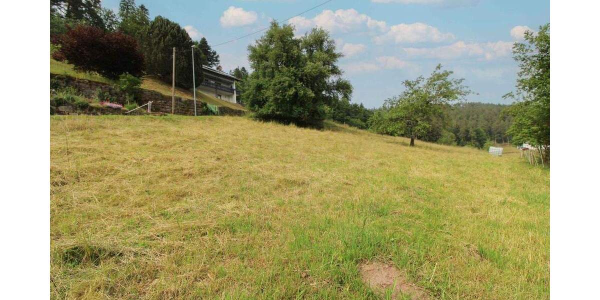 Grundstück Bad Wildbad Sprollenhaus - 124.500&euro; | Angebot:25749679