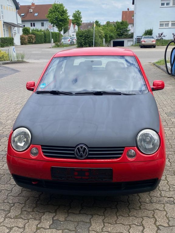 Lupo
