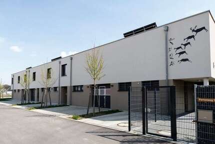 Investieren im Silberstreifen: Wohn-Gewerbeimmobilie mit Garten, Garage & Flexibilitä 6 zimmer