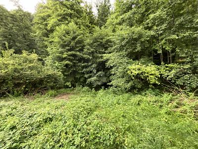 2380 QM WOHNEN AM BACH UND WALD ZUM ENTSPANNEN - Grundstück Bad Herrenalb | Angebot:26340434