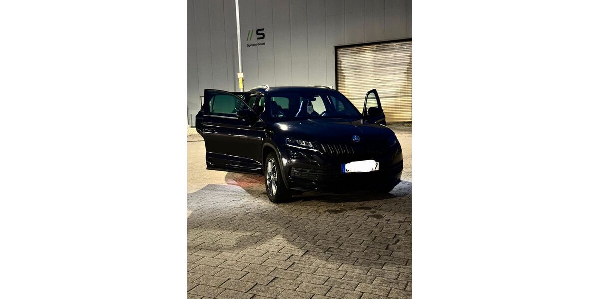 Skoda Kodiaq 185.000 km 21.000 &euro; Bad Herrenalb 76332