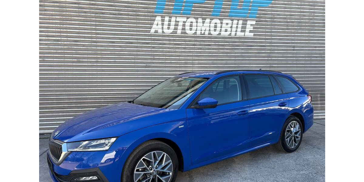 Skoda Octavia 140.199 km 16.600 &euro; Sindelfingen 71065
