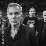 Dr. Feelgood - Doctor's Orders Anniversary Tour