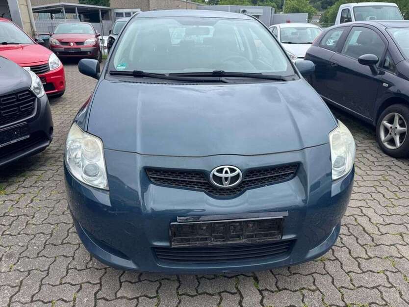 Auris