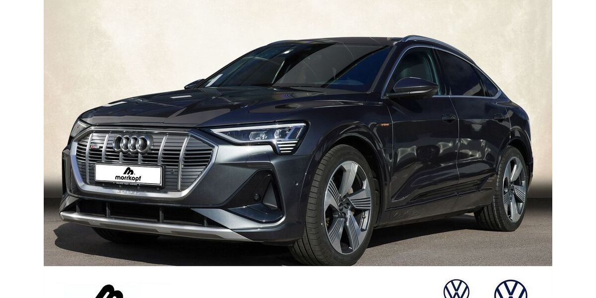 Audi e-tron 49.900 km 29.900 € Weingarten 76356