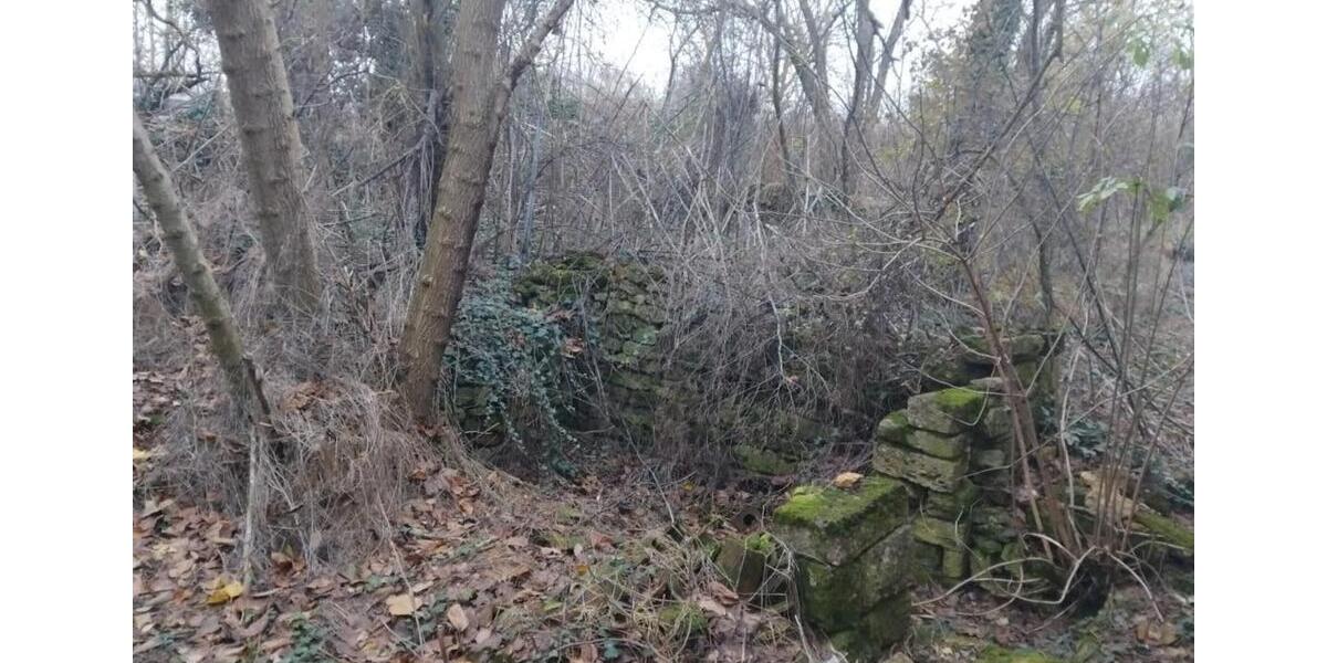 Haus in Bulgarien, 18 km vom Meer 3 zimmer