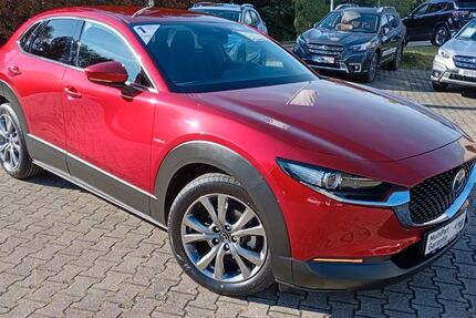 Mazda CX-30 114.800 km 19.350 € Pforzheim 75172