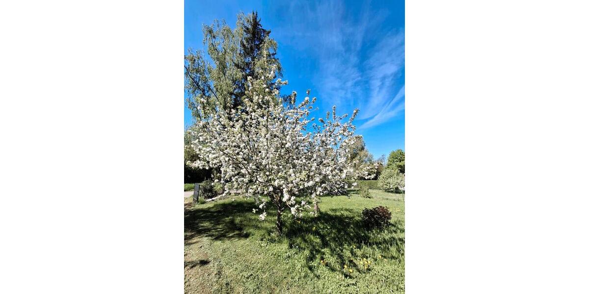Gewerbeobjekt Pforzheim Nordstadt - 360&euro; | Angebot:26398932