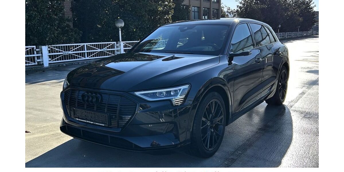 Audi e-tron 65.753 km 39.900 &euro; Ettlingen 76275