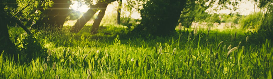 Naturpark Schwarzwald Nord