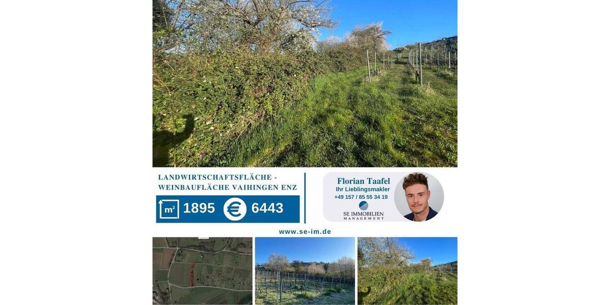 Landwirtschaftsfläche Weinbaufläche zimmer