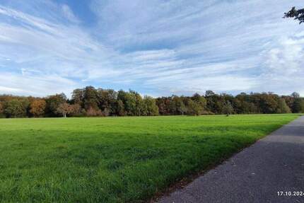 Spitzen-Bauplatz für freistehendes EFH - in direkter Feldrandlage