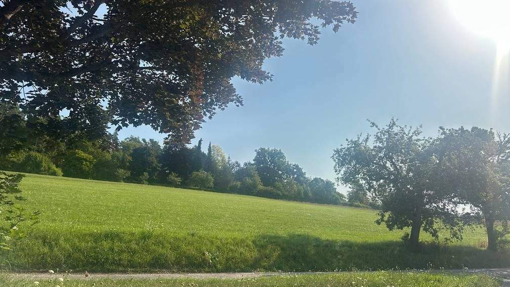 Mehrfamilienhaus, Wohnhaus Ostelsheim - 9 Zimmer, 210 m&sup2;, 750.000&euro; | Angebot:25737007
