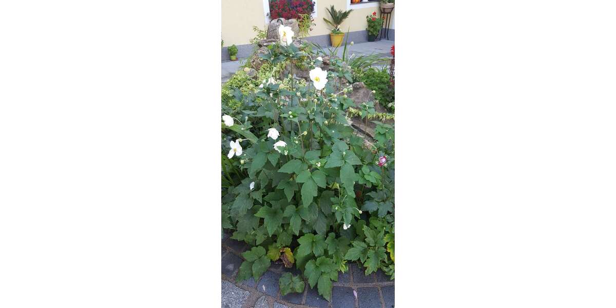 Grundstück zu verkaufen in Bruchsal 218.000 € 536 m² zimmer