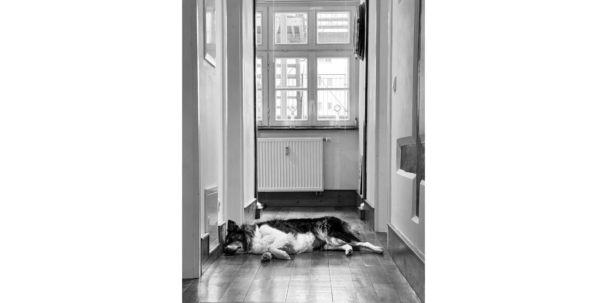 Gewerbeobjekt Karlsruhe - 255&euro; | Angebot:26431599
