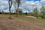 Grundstück Calw Holzbronn - 365.000&euro; | Angebot:26219265