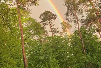 Wohnung zum Kaufen in Karlsruhe 499.000 € 120 m² 4 zimmer