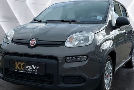 Fiat Panda 11.800 km 13.450 € Bietigheim-Bissingen 74321