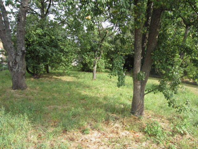 Grundstück Kieselbronn - 415.000&euro; | Angebot:23035090