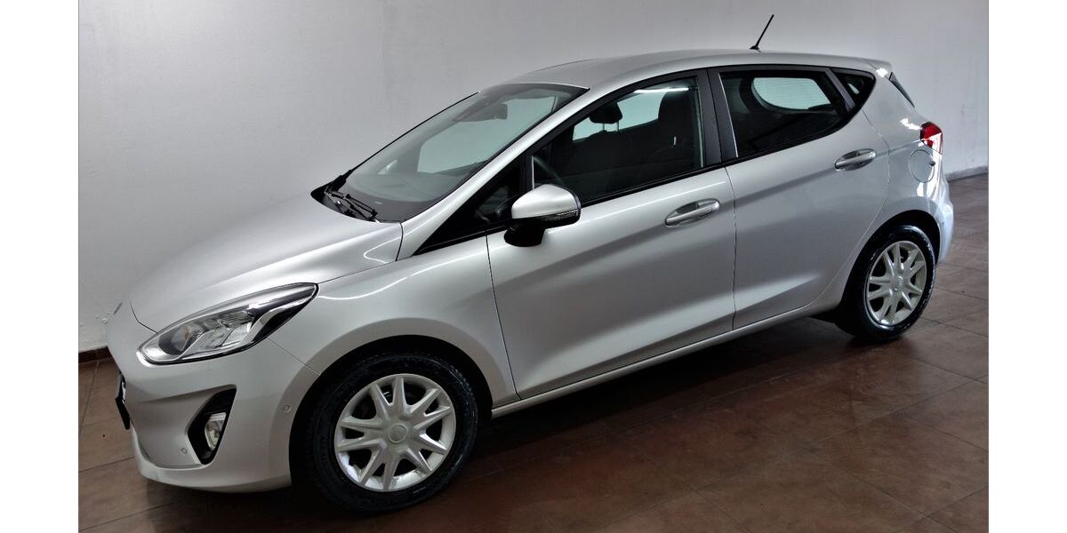Ford Fiesta 169.000 km 5.999 € Mühlacker 75417