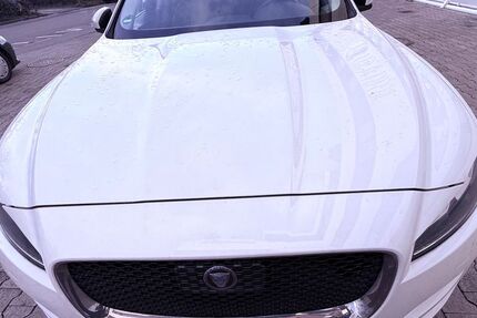 Jaguar F-Pace 167.000 km 18.800 &euro; Sindelfingen 71069