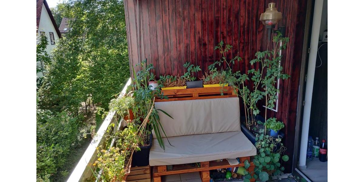 Renovierte 3 Zimmer Wohnung zimmer